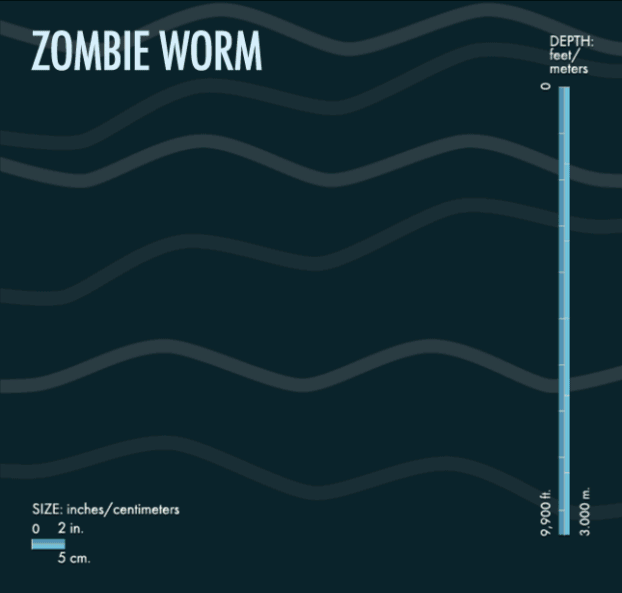 zombieworm